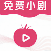 Quick播TV去广告版